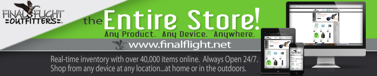 Final Flight Website Banner